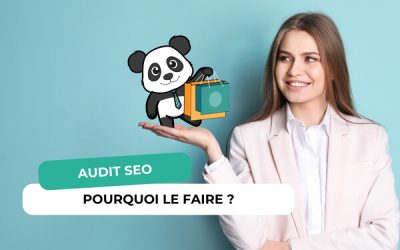 Pourquoi faire un audit SEO ?