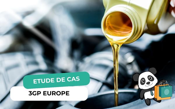 etude de cas e-commerce 3GP europe